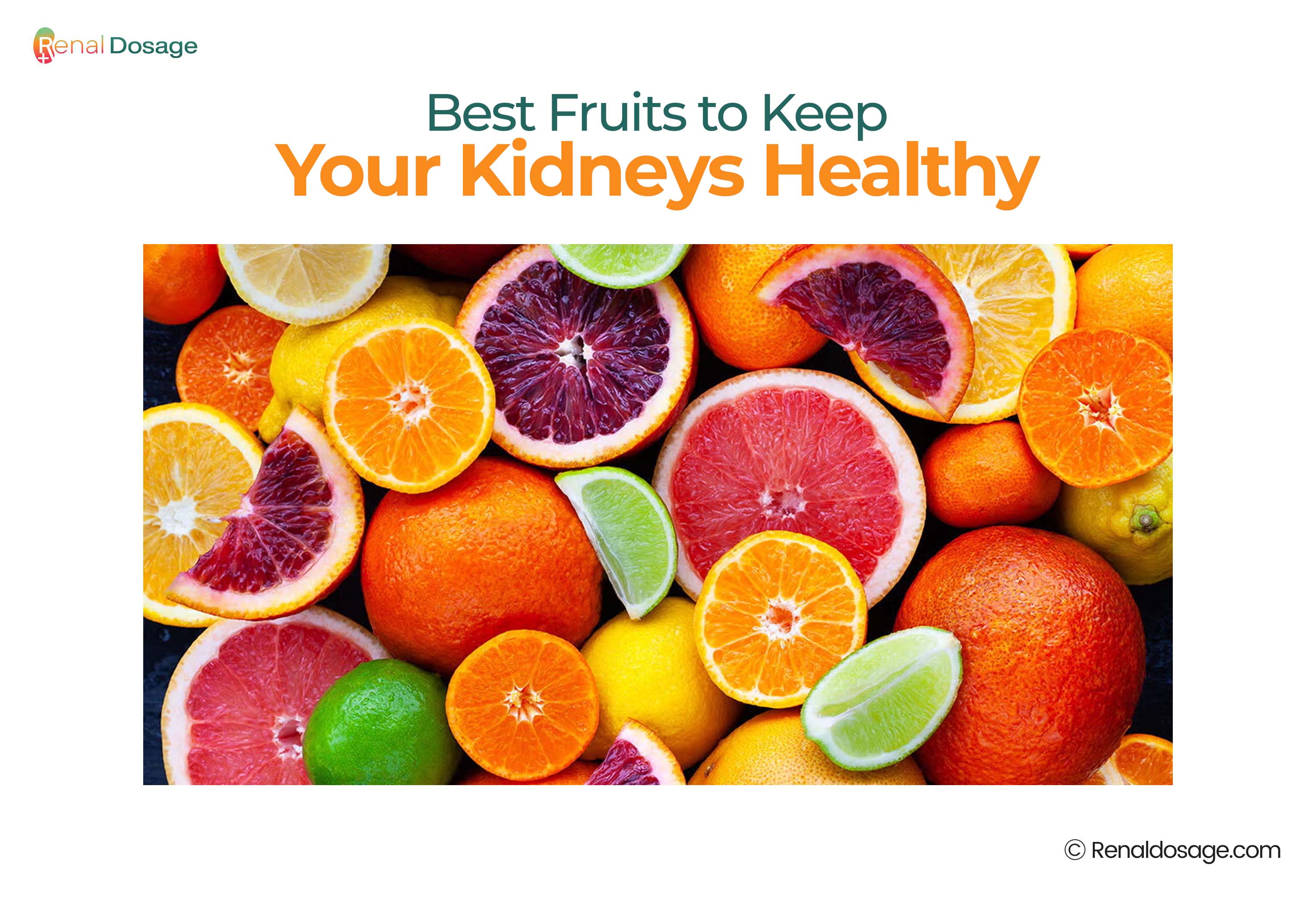 RenalDosage - Best Fruits to Keep Your Kidneys Healthy