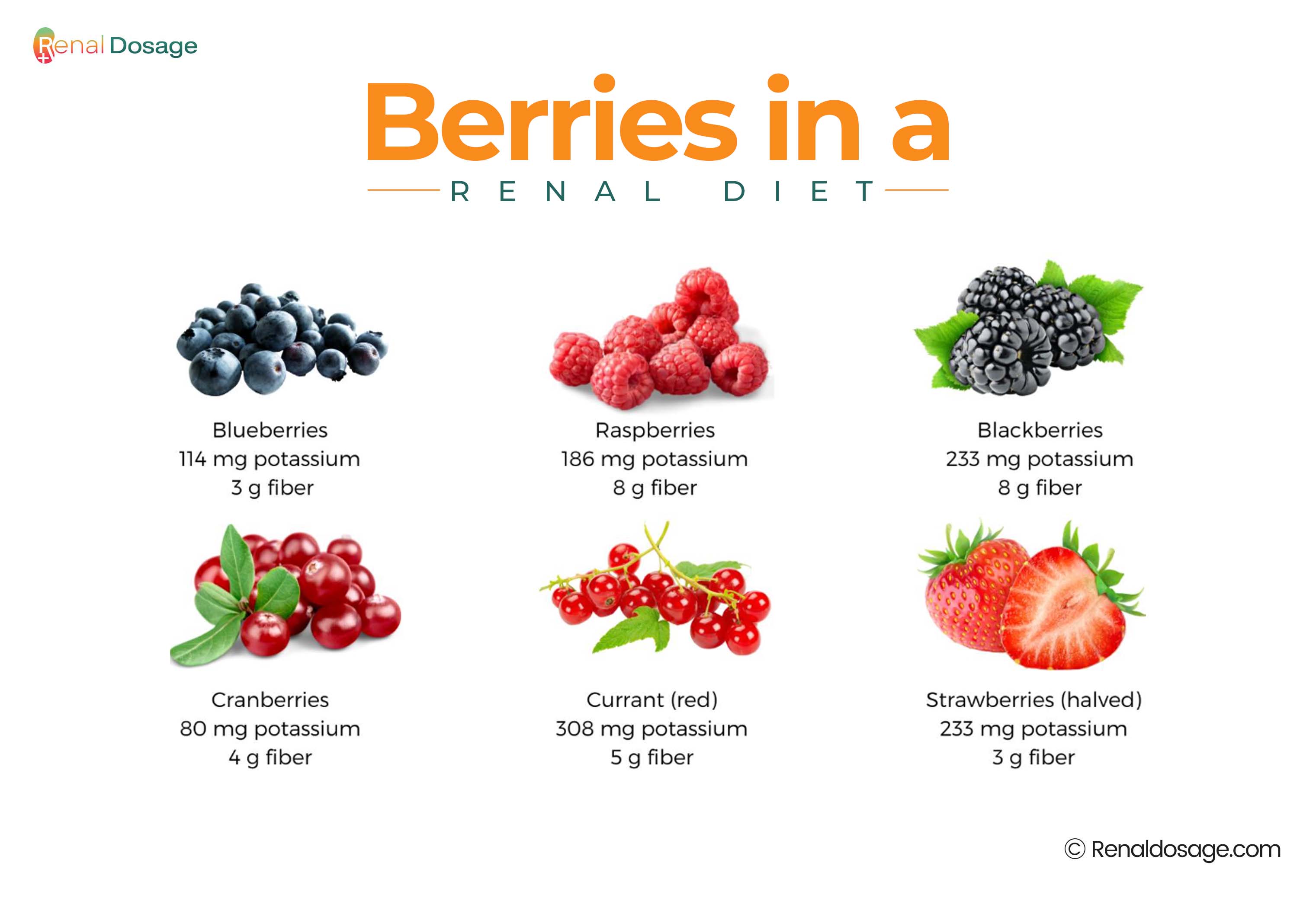 RenalDosage - Best Fruits to Keep Your Kidneys Healthy