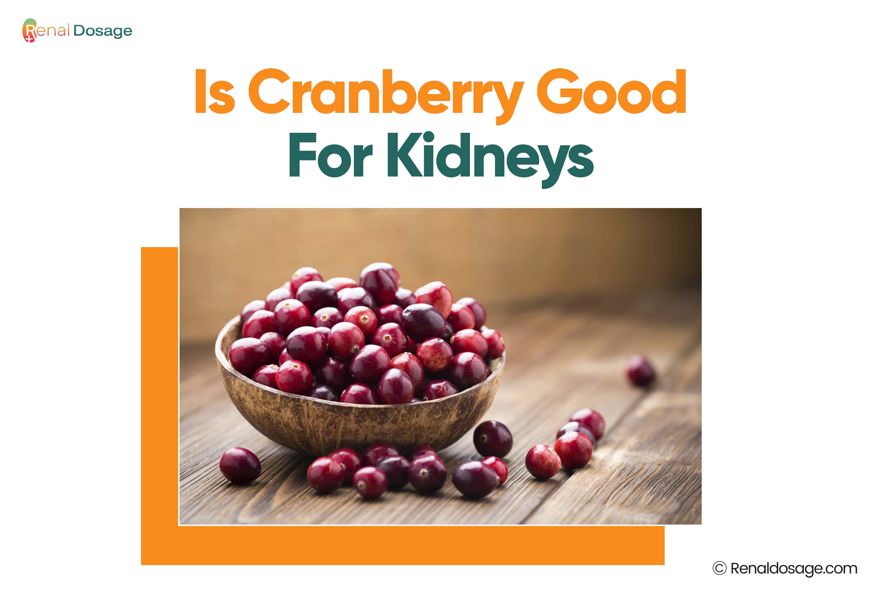 RenalDosage - Best Fruits to Keep Your Kidneys Healthy