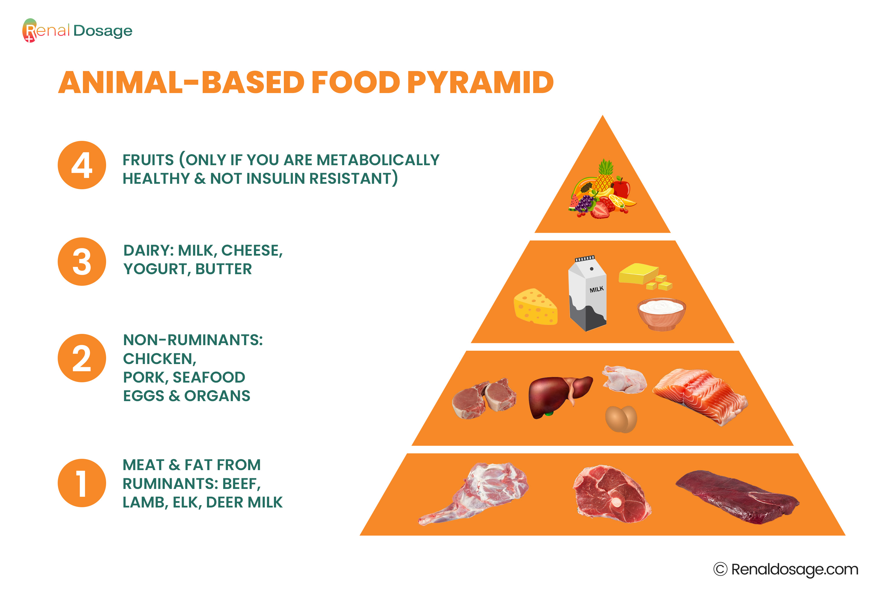 The complete animal based diet food list