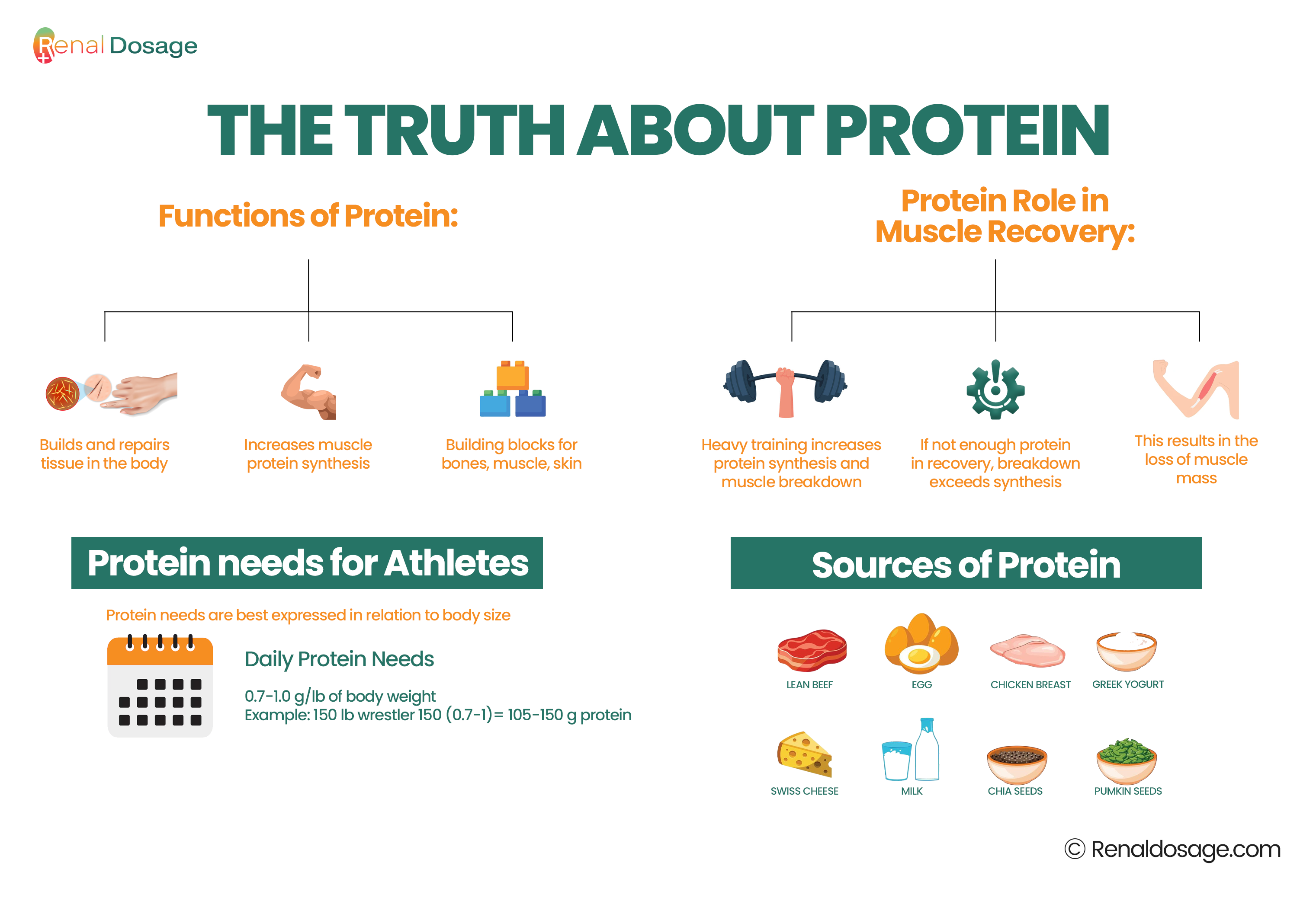 RenalDosage - Protein Supplements for Carnivore Diet: Basic Guide