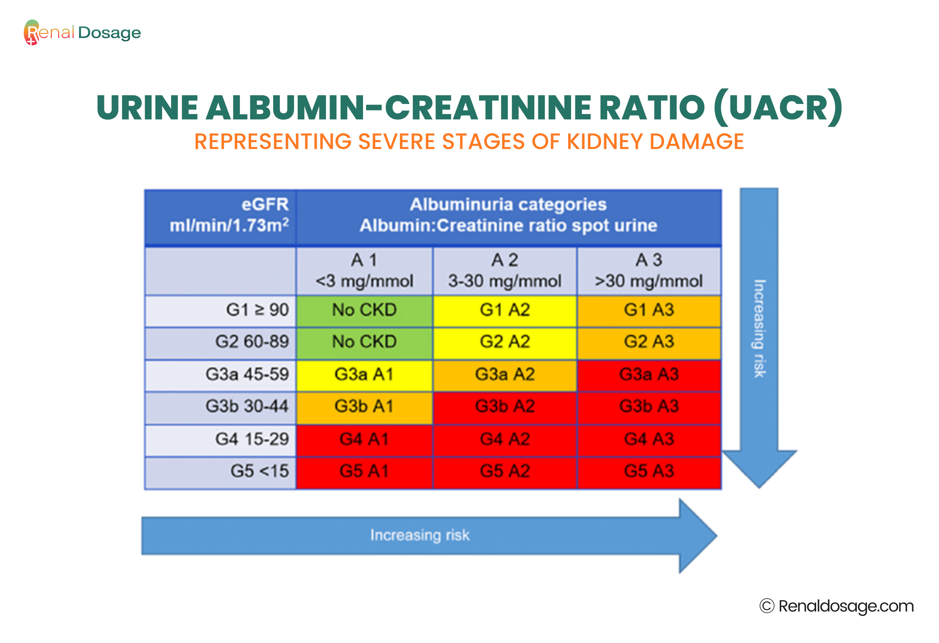 RenalDosage - Introduction to Kidney Treatment and Management